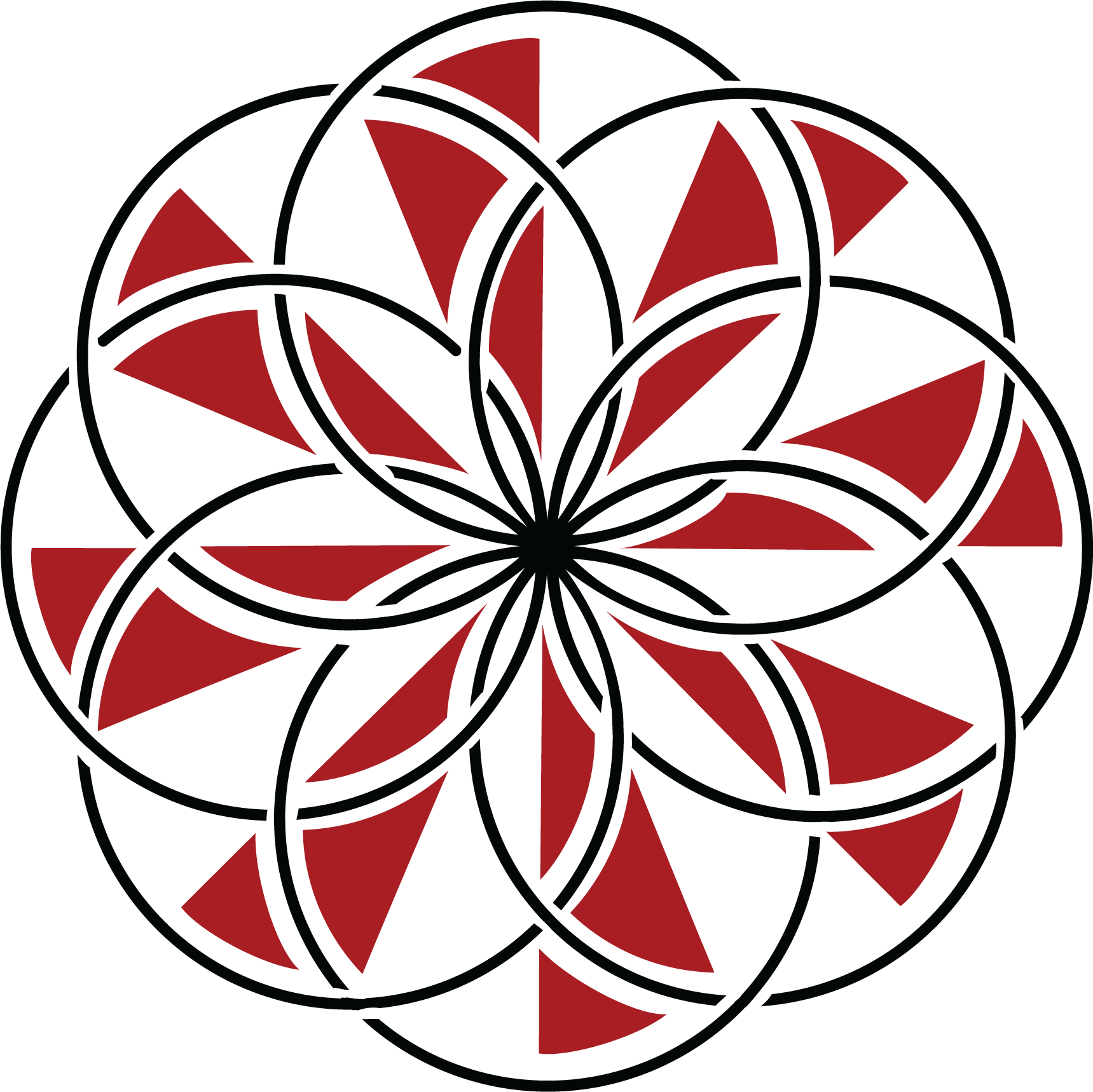 Circulation Festival